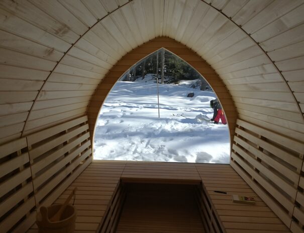 Chalet Sozzine